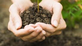 We need to stop treating soil ecosystems like dirt