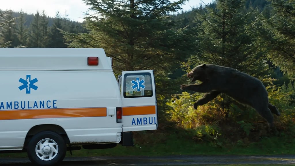 Cocaine Bear. Photograph: Universal Pictures