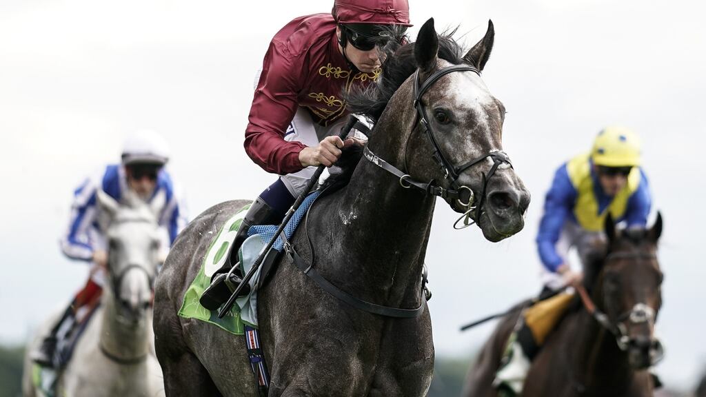 Roaring Lion: faces the prospect of four Ballydoyle opponents, including Saxon Warrior, around him during Leopardstown’s €1.25 million feature. Photograph: Alan Crowhurst/Getty Images