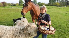 The Irish soap maker ensuring her carbon footprint leaves zero waste