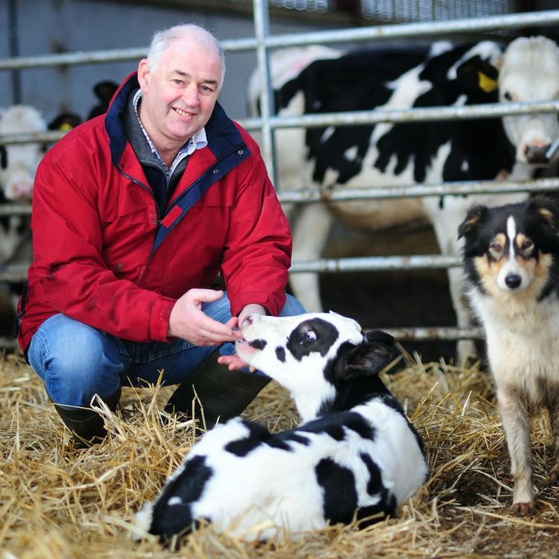 Dairy farmer: Mike Magan. Photograph: James Flynn/APX