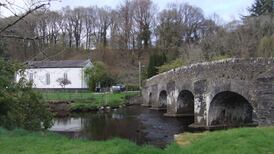 Go Walk: Clara Vale in Wicklow is a forest to look up to
