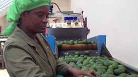 TruTrade cashless platform helps African farmers grow businesses