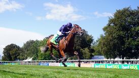 City Of Troy puts massive reputation on line in Newmarket’s Dewhurst Stakes