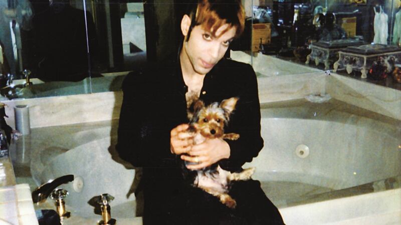 Mayte Garcia and Prince. The day we got Mia. Credit Mayte Garcia