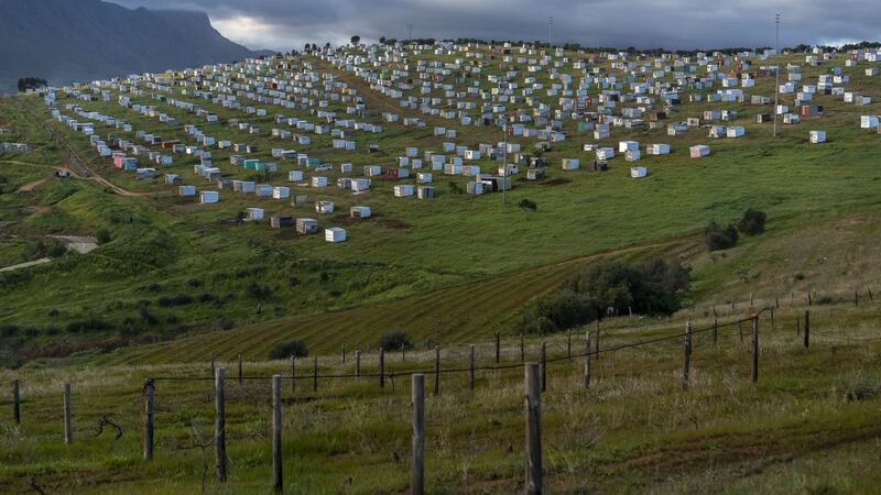 A general view of the newly erected shack settlement on a section of the Louiesenhof Wines farm, adjacent to the Kayamandi township outside of Stellenbosch, South Africa. Photograph: Joao Silva/The New York Times