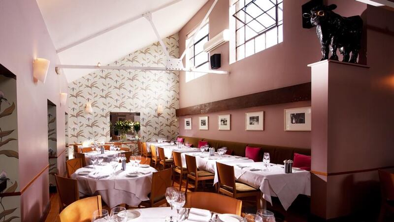 A carnivore’s delight