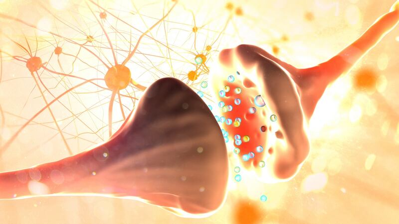 Neurotransmitter function improves with appropriate sleep and nutrition, while some vitamin deficiency can impact upon certain psychiatric disorders