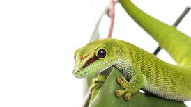 Wrap your mind around science books this Christmas