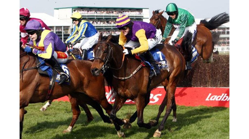 Tony McCoy on Noble Prince (number 7) on his way to winning the Jewson Novices' Chase at Cheltenham. Photograph: David Jones/PA Wire
