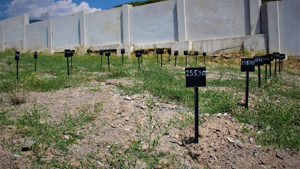 The graves in Izmir of 24 children, whose names are unknown, who drowned trying to reach Greece. Photograph: Stephen Starr