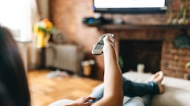 What are the Government’s public media funding options?