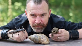 Climate change and invasive species: ‘The clock is ticking as to when something nasty will arrive’