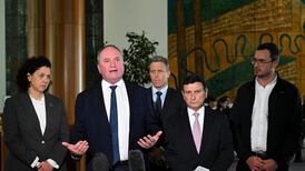 Delegation of Australian politicians to pressure US to end pursuit of Julian Assange