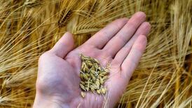 Origin agrees Scottish plant sale to secure UK fertiliser deal