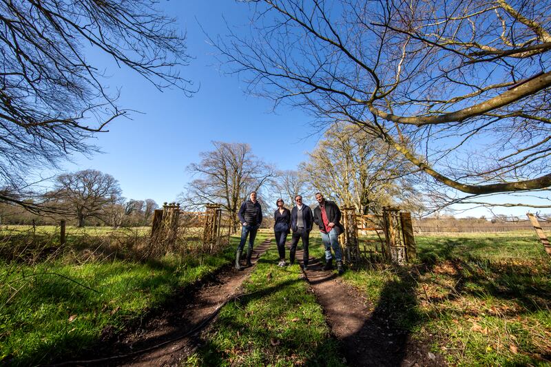 'Nolan’s year-long residency created a visual record of Ireland’s changing environment, combining artistic expression with environmental record-keeping.' Photograph: Paula T Nolan. Reproduced courtesy of the National Library of Ireland.