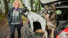 Long Covid care: ‘There has been a sense of swimming upstream on my own’