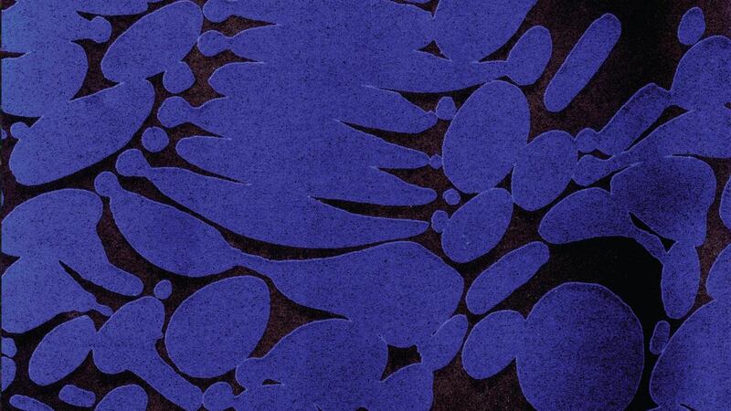 Larry Gus: Years Not Living