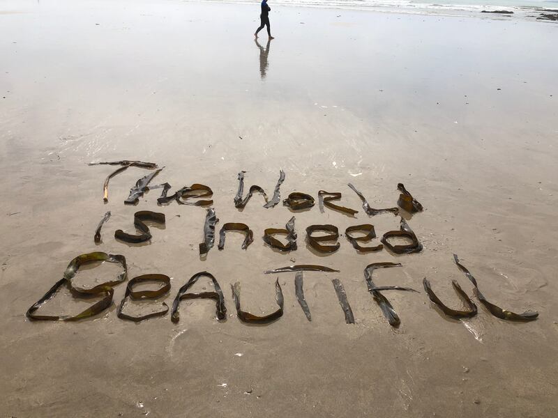 The world is indeed beautiful, by Vivienne Roche and Sebastian Barry