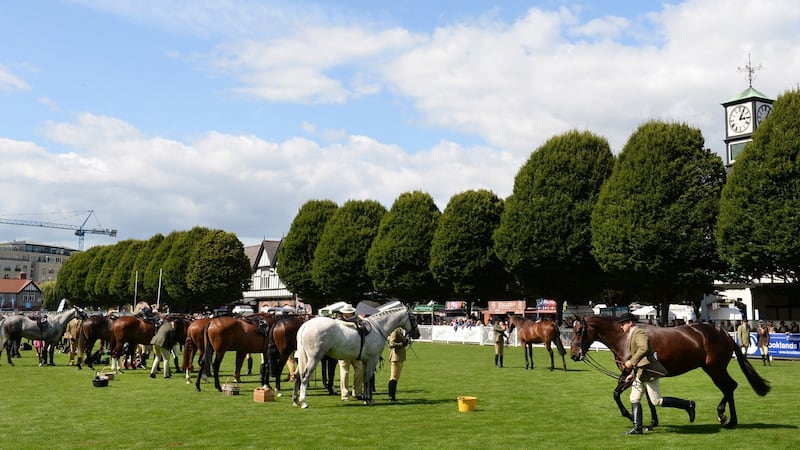 Small Hunters Class 20 judging at the opening day of the Dublin Horse Show. Photograph: Dara Mac Dónaill