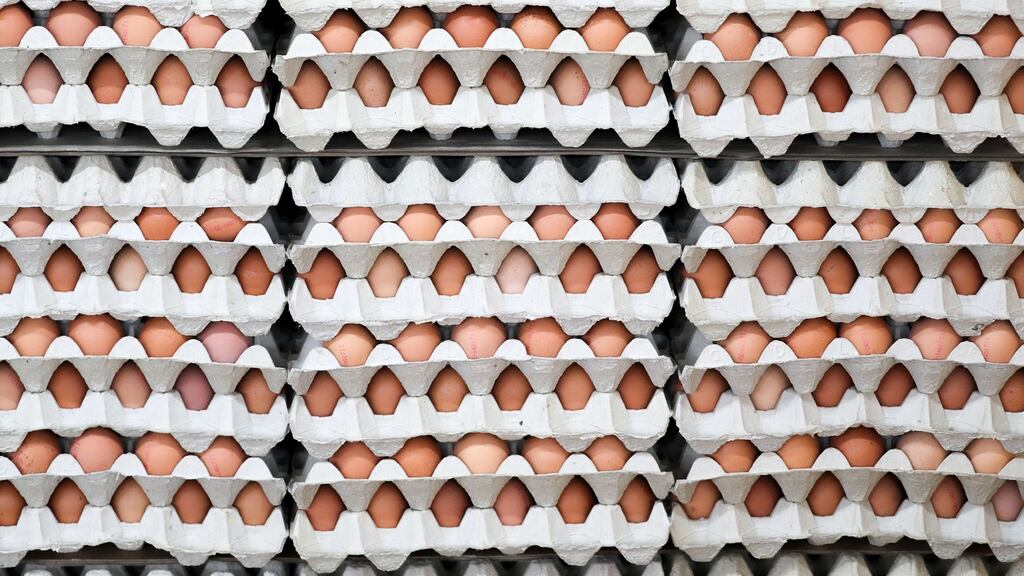 The Norwegian team can expect a varied diet.