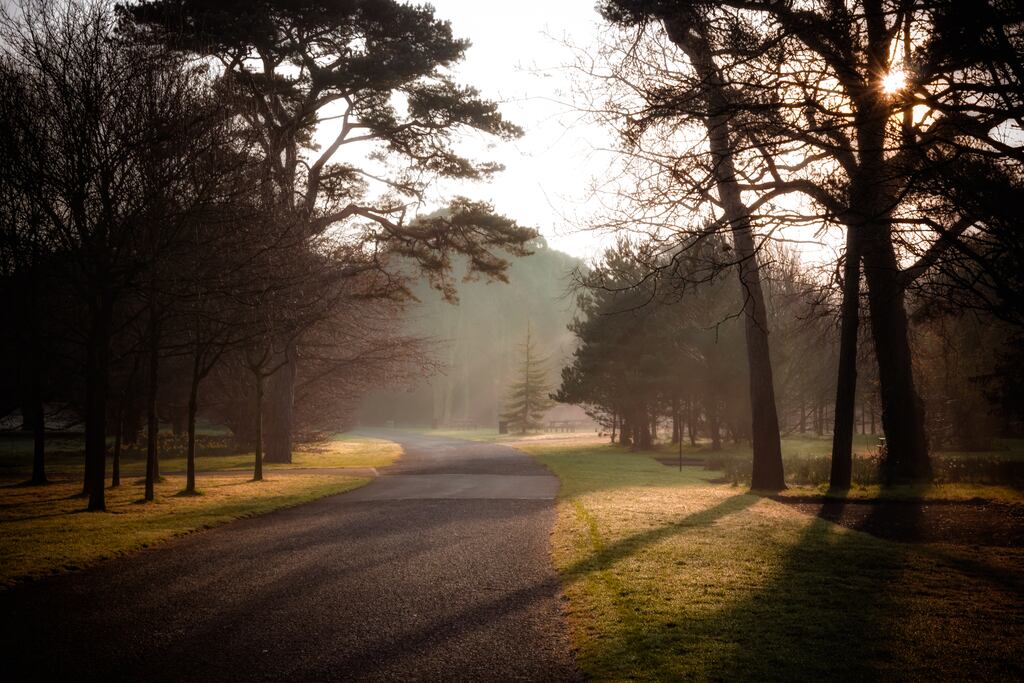 Early Morning Park, Dublin