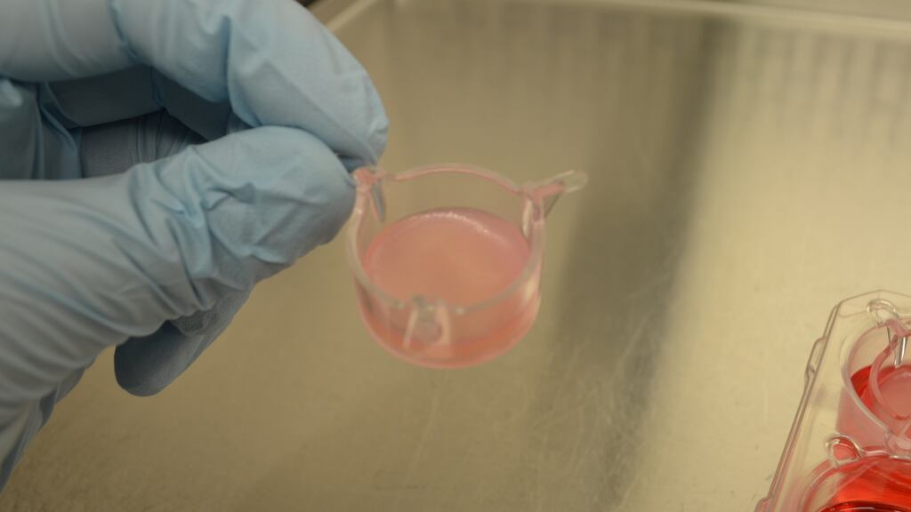 Venn Life Science provides clinical trials services to pharmaceutical and biotech companies.