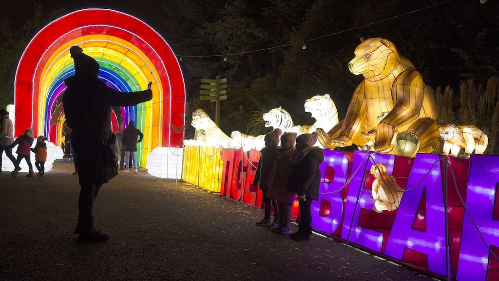 Dublin Zoo’s ‘Wild Lights’ in 2019. Photograph: Dave Meehan