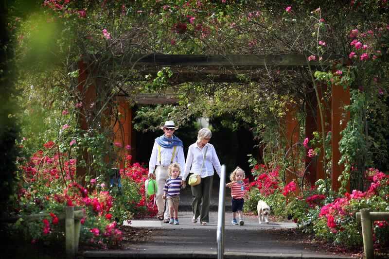 Rossa and Barbara Bunworth with their grandchildren Ben and Max, age 2, along with dog Cherry, walking in St Anne’s Rose Garden, in Clontarf, Dublin. Photograph: Dara Mac Dónaill
