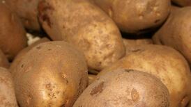 IFA demands Government intervention to end ‘unviable’ selling of potatoes