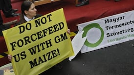 Opposition to GM food is killing poor people