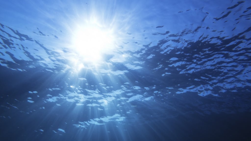 Far above him he could dimly make out a light – narrow, weak – and he knew, he said, that everything depended on mustering the will to push up towards the surface and swim through the rushing current to that light