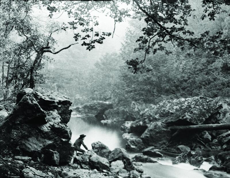 A particularly fine example of Browne’s ability, and an early work, is his view of the Dargle Glen photographed in 1910. This place has long appealed to artists