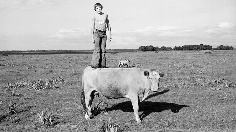 Standing Tall on Gráinne (1975). ‘The quietest cow in Mayo, milked for the house. This Charolais cow had 17 calves and lived to be 21’