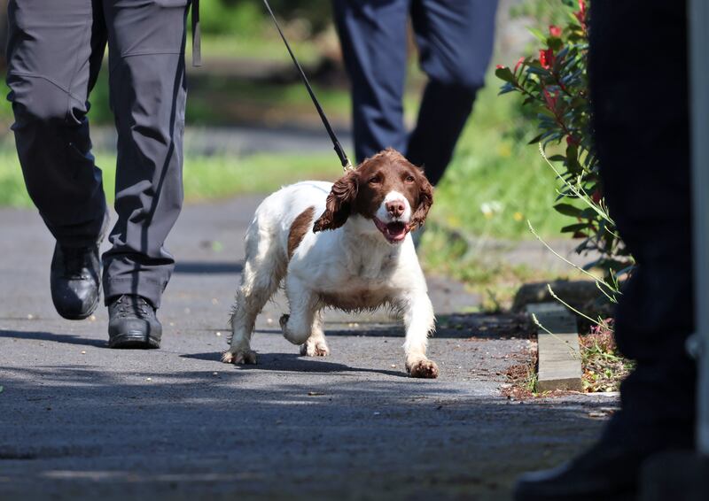 Gardaí bring a cadaver dog into the premises, pictured on Friday morning at a house on Monastery Walk, Clondalkin, where gardaí are continueing their search in the investigation into the death of American woman, Annie McCarrick, who disappeared in 1993. Photograph: Colin Keegan, Collins Dublin.