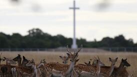 HSE advises health precautions ahead of papal visit