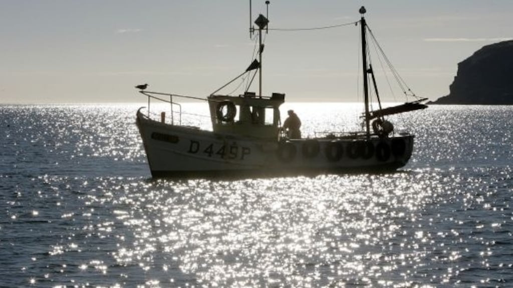 Irish fishing industry is 30 per cent dependent on UK waters. Stock Photograph: Alan Betson