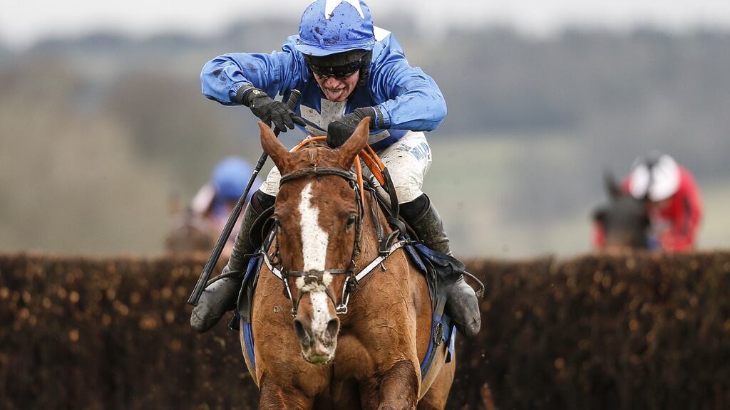 The veteran former Welsh National hero Raz De Maree. The 14-year-old is famous for plugging on at the end of marathon races. Photograph: Getty Images
