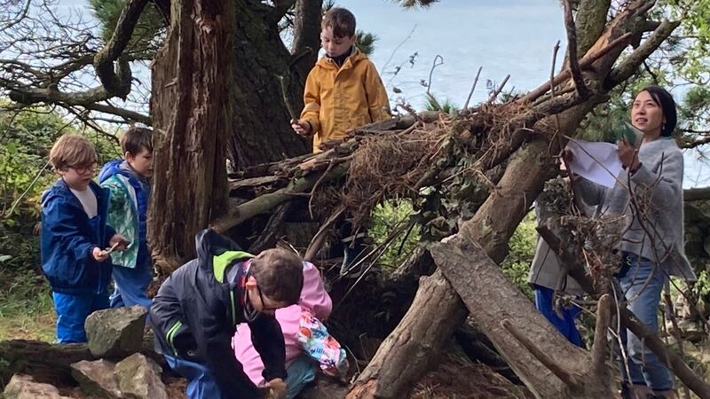 Dalkey School Project pupils build a hut as part of their forest school project