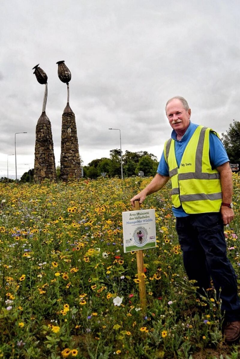 Martin Beehan from Clonmel Tidy Towns group where wildflowers were planted in the town.