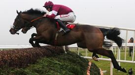 Michael O’Leary’s Dedigout looks soundest Powers Gold Cup bet