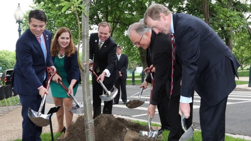 Irish oak planted at US Capitol to commemorate 1916 Rising