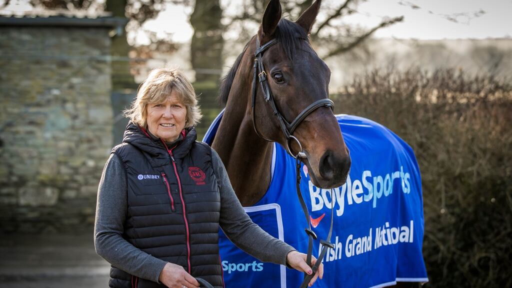 Former Grand National winner Our Duke died of a heart attack on Thursday morning. Photo: Morgan Treacy/Inpho