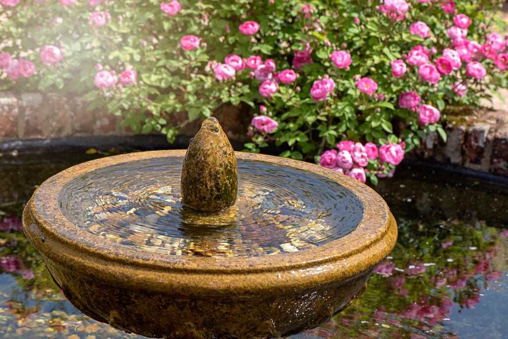 Garden water features come in all shapes and sizes. Photograph: Getty