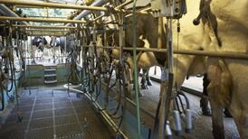 Grass and fodder shortages forcing extra costs on farmers