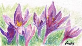 Another Life: A high old time – the drugs also known as Christmas spices