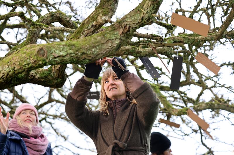A hawthorn bush with scores of pieces of cardboard, each with a word in Irish. Photograph: Dara Mac Dónaill