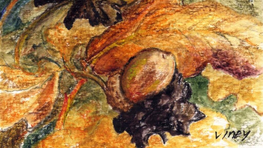 Alien attack: knopper galls on acorns. Illustration: Michael Viney
