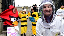 Environmental groups warn on Heritage Bill changes