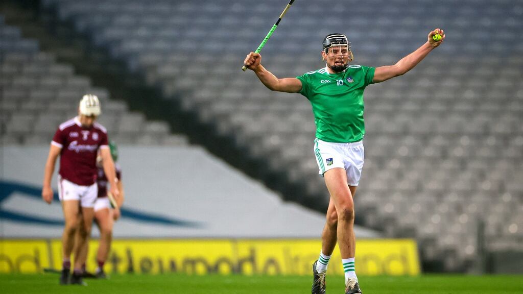 Gearoid Hegarty celebrates Limerick’s win over Galway. Photograph: James Crombie/Inpho